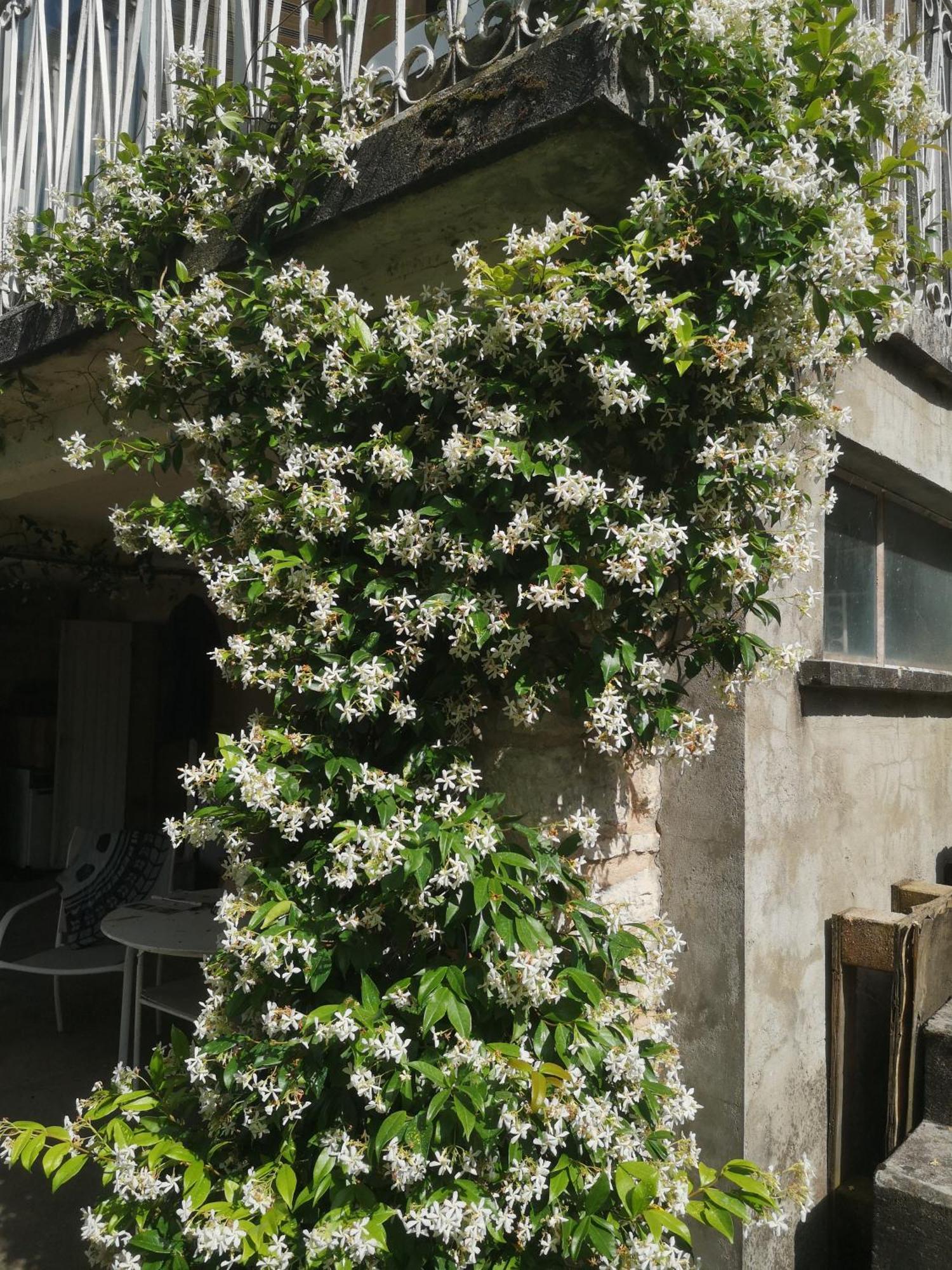 Un Coin De Paradis En Dordogne Bed & Breakfast Saint-Cyprien  Exterior photo